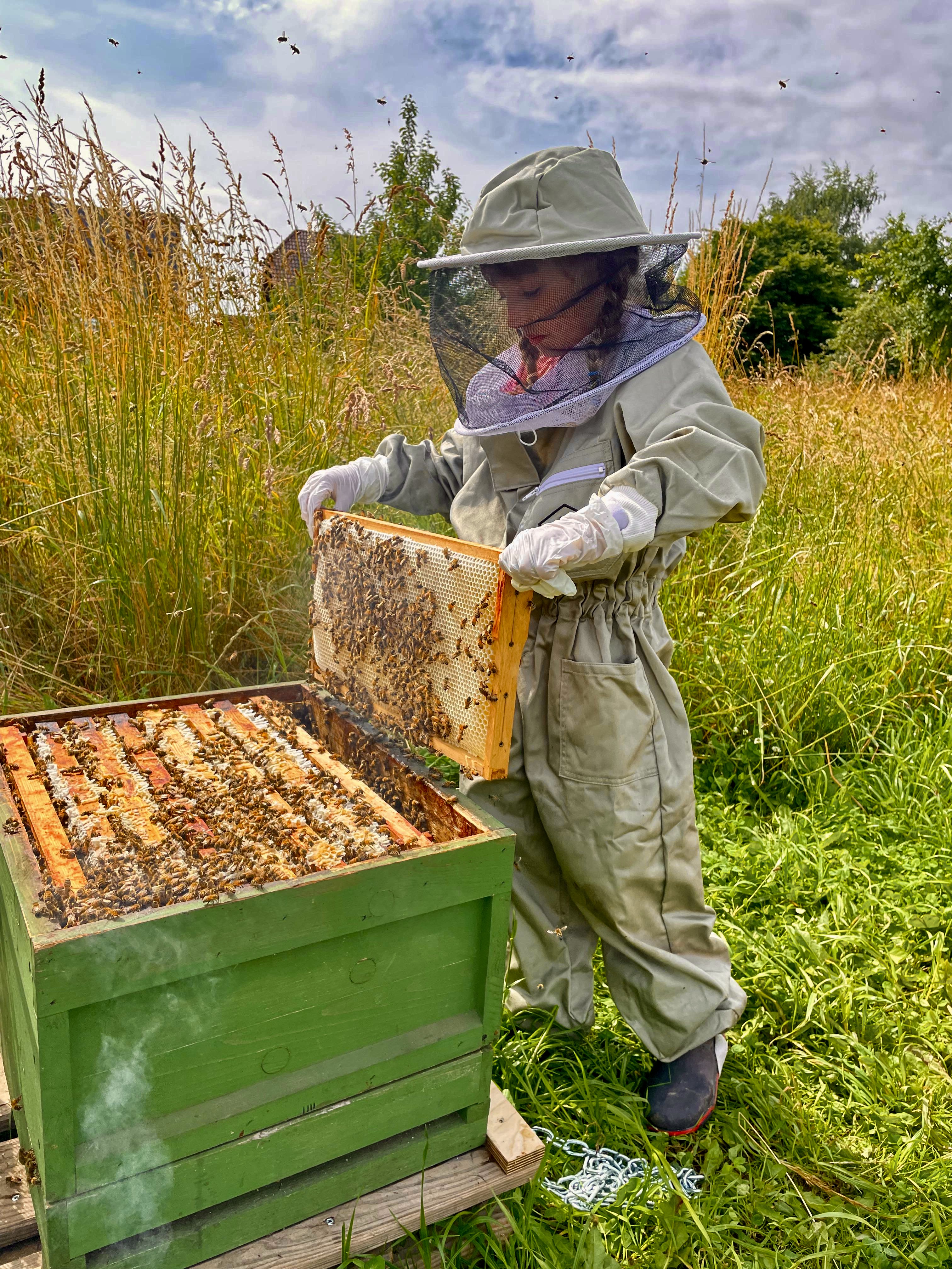 a8a5f33a-9594-4b89-a0df-6e2eae98ab8f 2